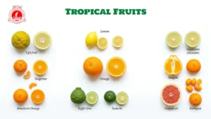 Tropical Fruits